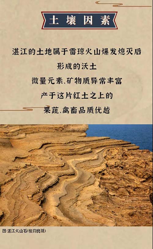 微信图片_20200912152820.jpg