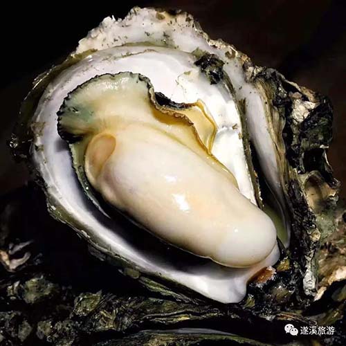 微信图片_20200916173957.jpg