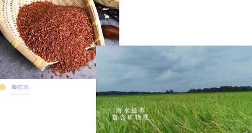 QQ截图20200916174056.jpg
